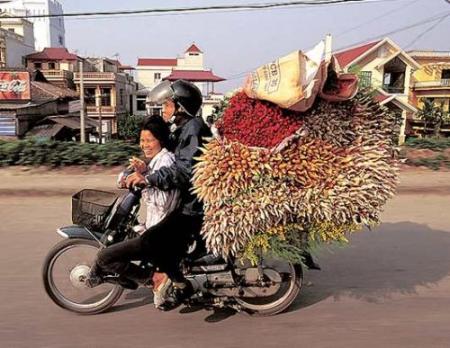 porquoi la chine adore les motos ?
